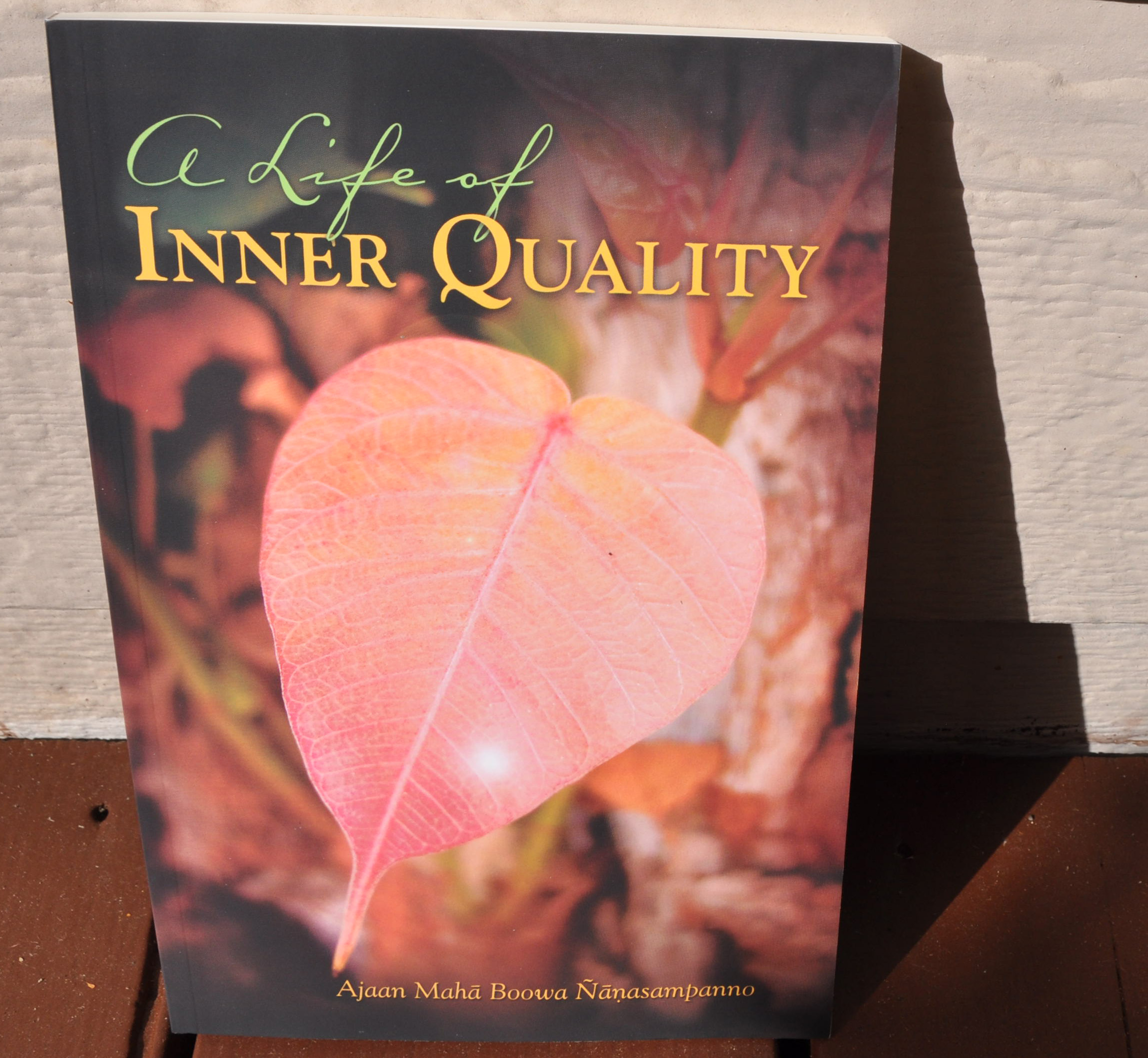 Photo of Book
