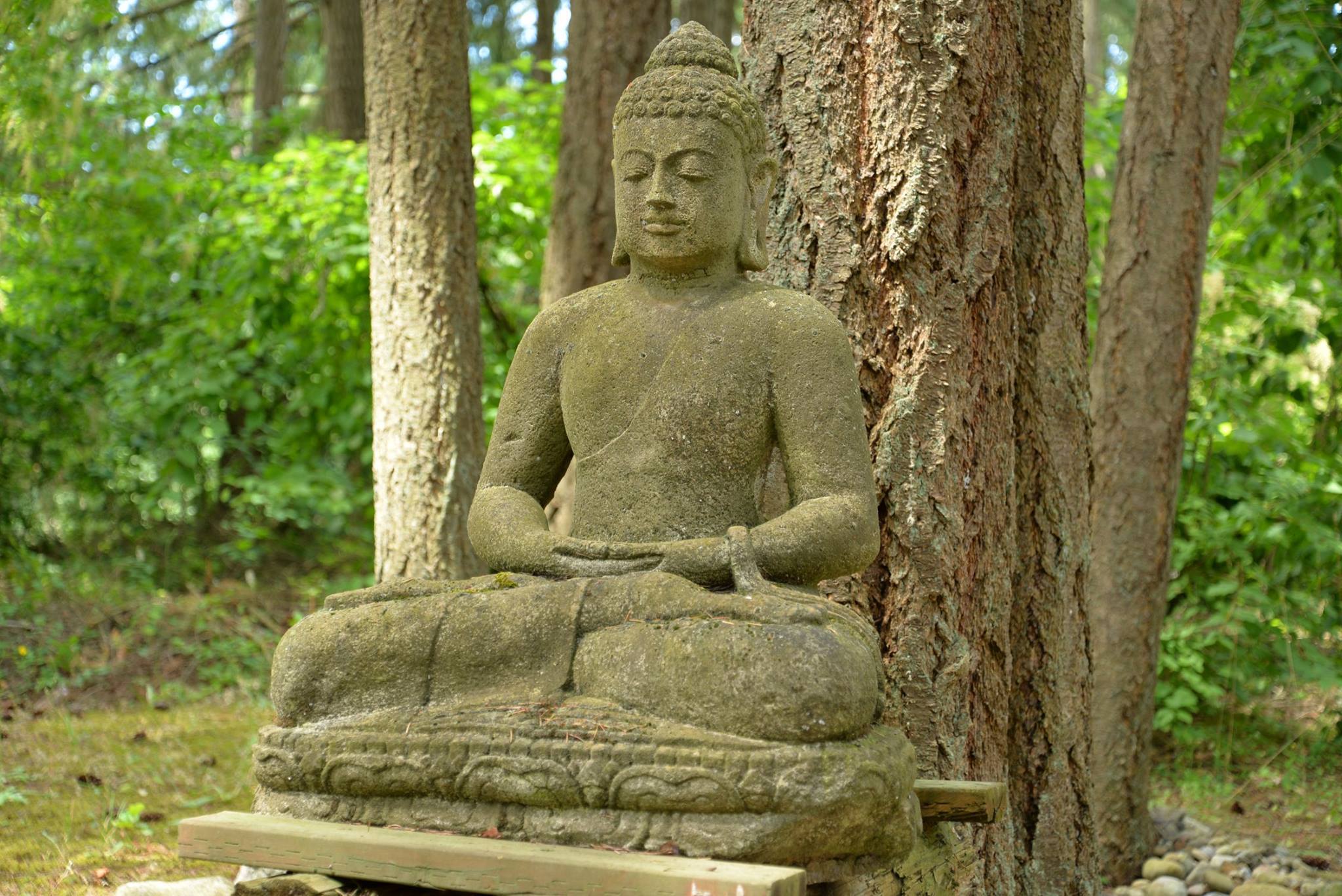 19944576_1399592443451640_4121626667891926777_o